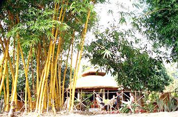Tiger Camp Resort Ramnagar  Esterno foto